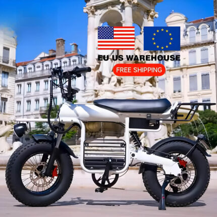 Electric Bike