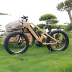 Ebike